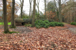 kelder Kasteel Het Weldam